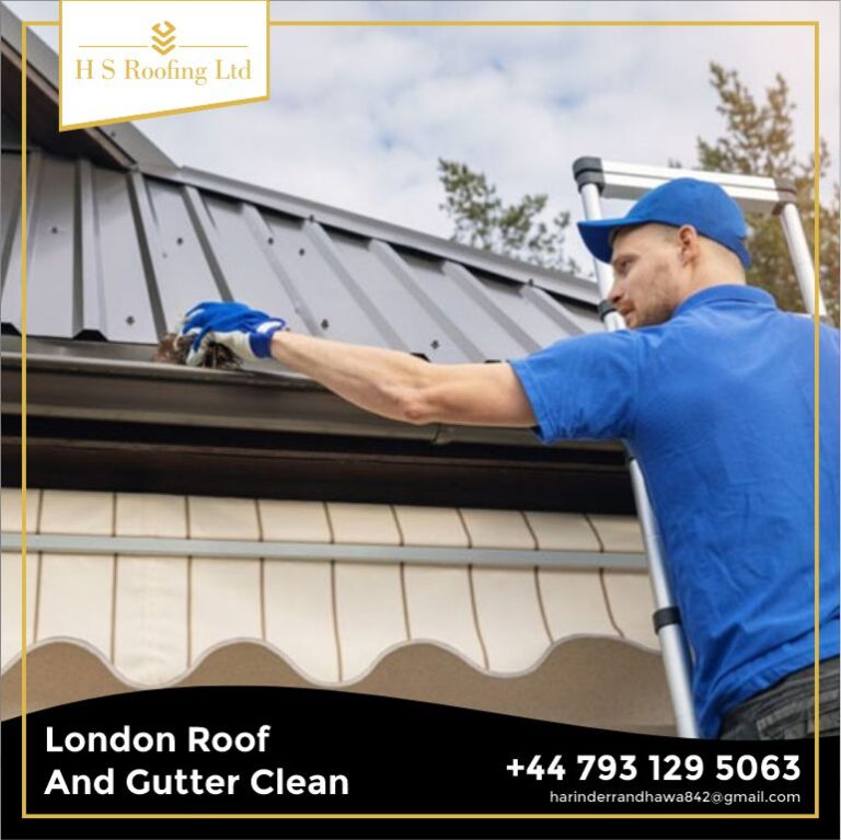 Roof and Gutter Clean London