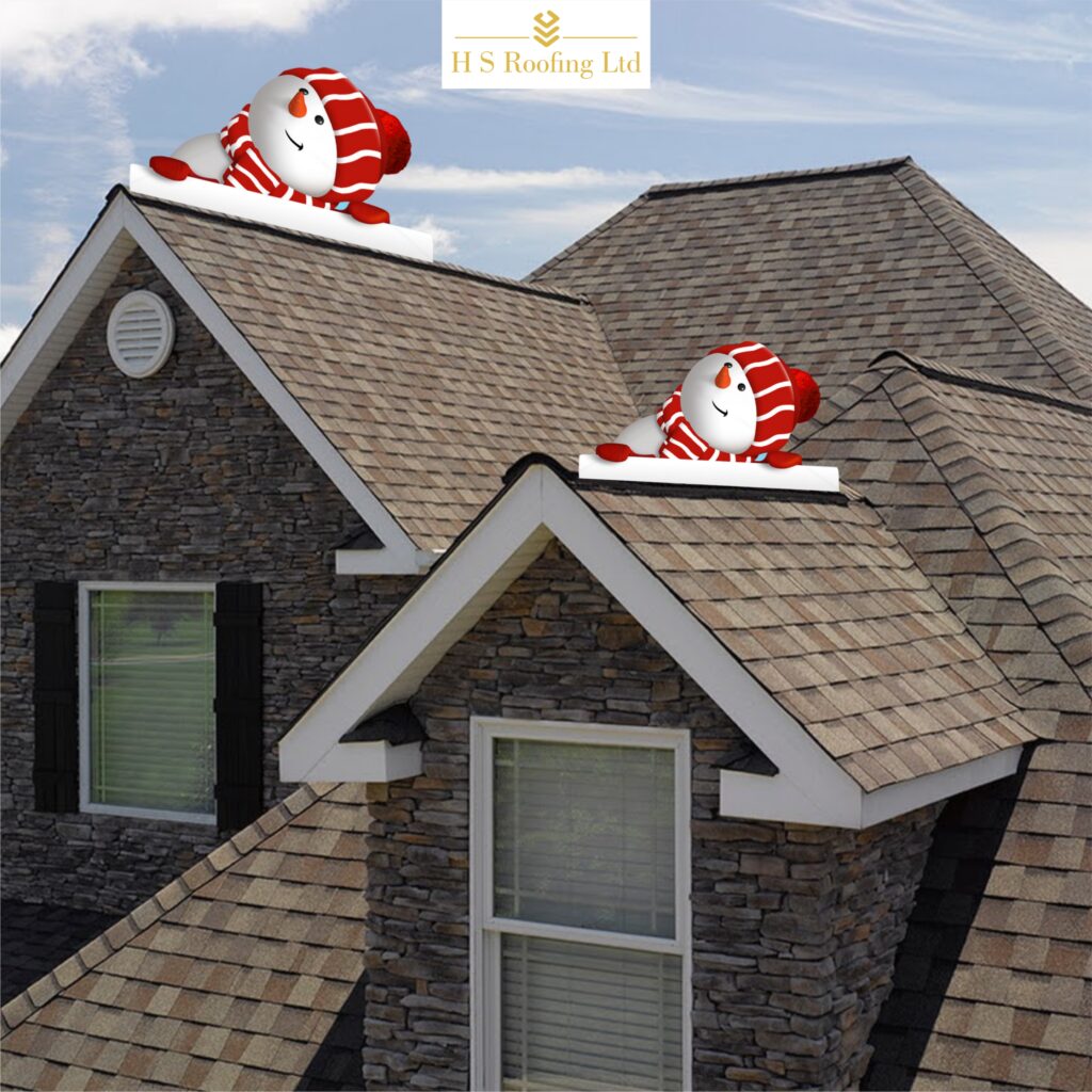 Roof Installation Service